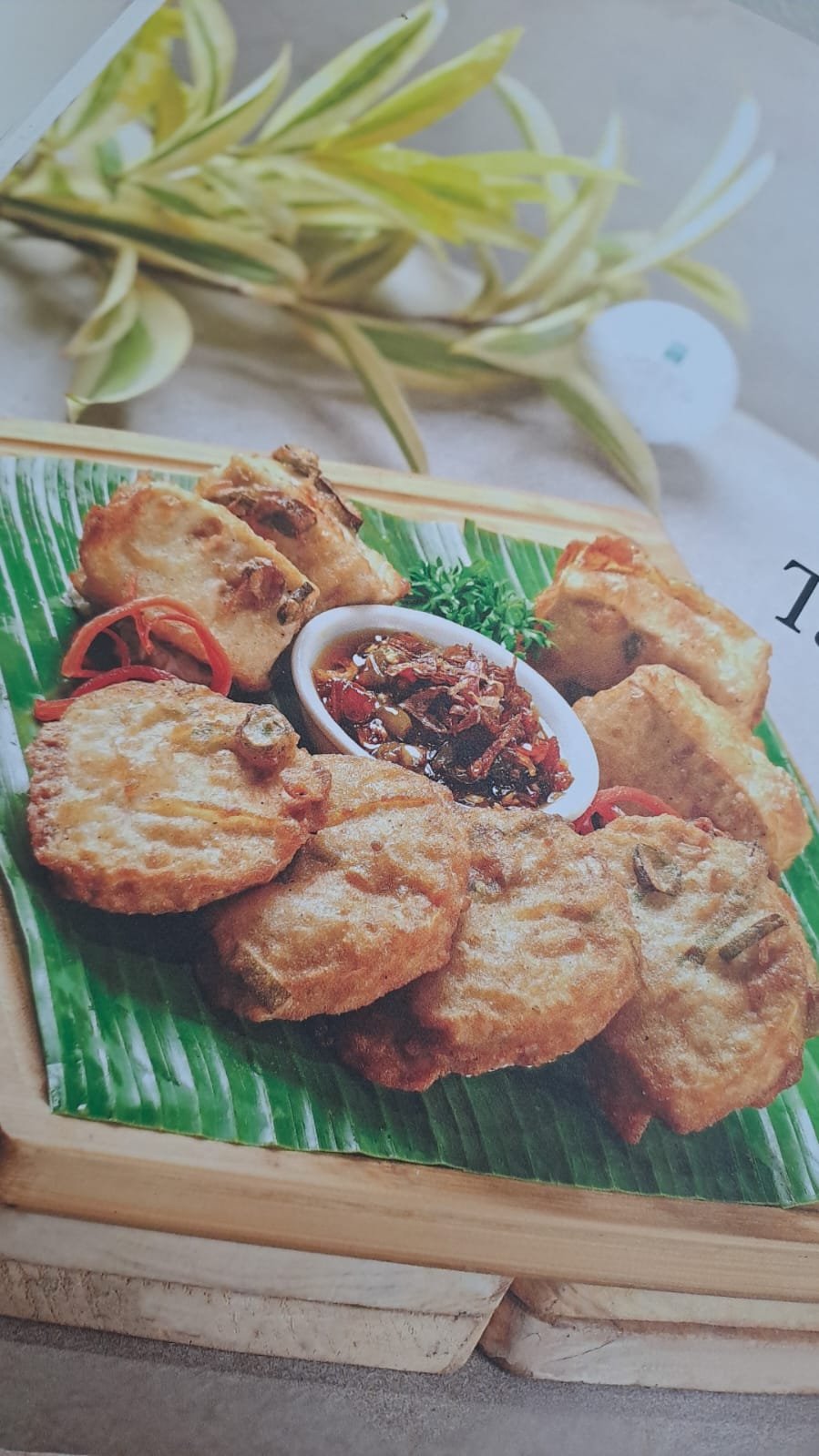 Tahu Tempe